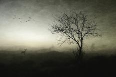 Dawn..........-Wim Schuurmans-Photographic Print