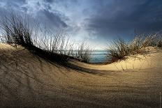 Dunes-Wim Schuurmans-Photographic Print