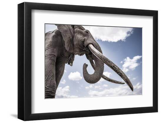Premium Photographic Print, , large