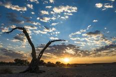Sunrise Landscape in Sossusvlei, Namibia, July 2014-Wim van den Heever-Photographic Print