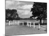 Wimbledon Common-Fred Musto-Mounted Photographic Print