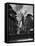 Wimbledon Windmill-J. Chettlburgh-Framed Stretched Canvas