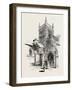 Wimborne: the Ivy Tower-null-Framed Giclee Print