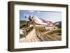 Win Sein Taw Ya 180M Reclining Buddha, Mon State-Matthew Williams-Ellis-Framed Photographic Print