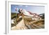 Win Sein Taw Ya 180M Reclining Buddha, Mon State-Matthew Williams-Ellis-Framed Photographic Print