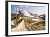 Win Sein Taw Ya 180M Reclining Buddha, Mon State-Matthew Williams-Ellis-Framed Photographic Print