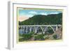 Winchester, Oregon, View of the Booth Bridge over Umpqua River-Lantern Press-Framed Art Print