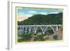 Winchester, Oregon, View of the Booth Bridge over Umpqua River-Lantern Press-Framed Art Print