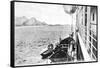 Winching a Cow onto a Boat Off the Coast of Chile, C1900s-null-Framed Stretched Canvas
