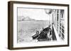 Winching a Cow onto a Boat Off the Coast of Chile, C1900s-null-Framed Giclee Print