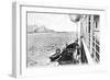 Winching a Cow onto a Boat Off the Coast of Chile, C1900s-null-Framed Giclee Print