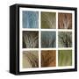 Wind and Rain-Kelsey Hochstatter-Framed Stretched Canvas