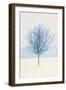 Wind and Snow-David Baker-Framed Photographic Print