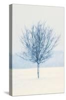 Wind and Snow-David Baker-Stretched Canvas