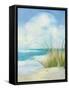 Wind and Waves III-null-Framed Stretched Canvas