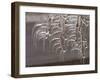 Wind-Blown Icicles Cling to Limbs after an Ice Storm Left a 2-Inch-Thick Coating-null-Framed Photographic Print