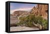 Wind-Blown Juniper Tree, Joshua Tree National Park, California, USA-Jaynes Gallery-Framed Stretched Canvas