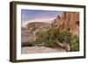 Wind-Blown Juniper Tree, Joshua Tree National Park, California, USA-Jaynes Gallery-Framed Photographic Print