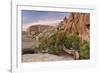 Wind-Blown Juniper Tree, Joshua Tree National Park, California, USA-Jaynes Gallery-Framed Photographic Print