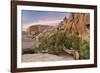 Wind-Blown Juniper Tree, Joshua Tree National Park, California, USA-Jaynes Gallery-Framed Photographic Print