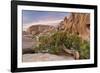 Wind-Blown Juniper Tree, Joshua Tree National Park, California, USA-Jaynes Gallery-Framed Photographic Print