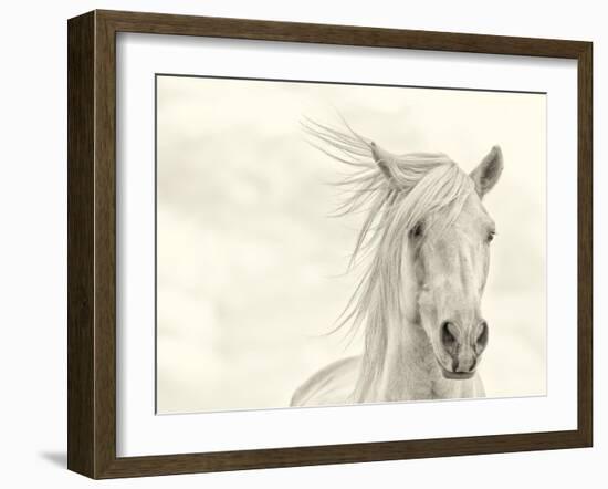 Wind Blown Mane I-PHBurchett-Framed Art Print