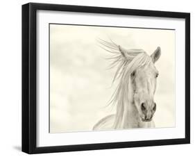 Wind Blown Mane I-PHBurchett-Framed Art Print