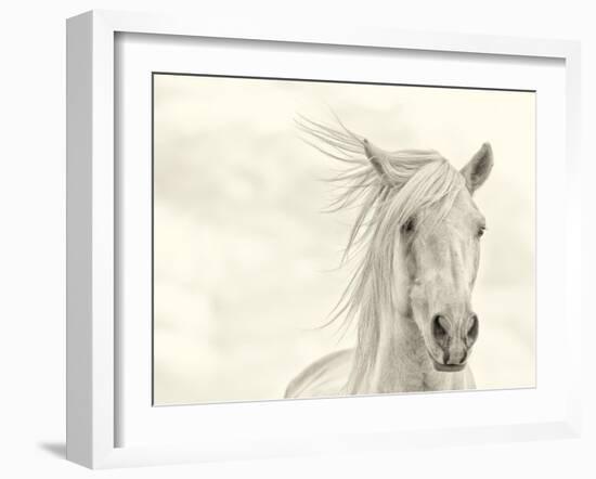 Wind Blown Mane I-PHBurchett-Framed Art Print