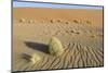 Wind-blown patterns and vegetation on desert sand dune, Sossusvlei, Namib Desert, Namib-Naukluft-Shem Compion-Mounted Photographic Print