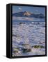 Wind-Blown Snow and Longs Peak, Rocky Mountain National Park, Colorado, USA-Scott T. Smith-Framed Stretched Canvas