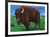 Wind Cave Nat'l Park, South Dakota - Bull Buffalo in Black Hills-Lantern Press-Framed Art Print