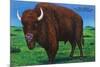 Wind Cave Nat'l Park, South Dakota - Bull Buffalo in Black Hills-Lantern Press-Mounted Art Print