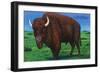 Wind Cave Nat'l Park, South Dakota - Bull Buffalo in Black Hills-Lantern Press-Framed Art Print