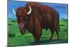 Wind Cave Nat'l Park, South Dakota - Bull Buffalo in Black Hills-Lantern Press-Mounted Art Print