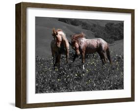 Wind Dance-Sally Linden-Framed Photo