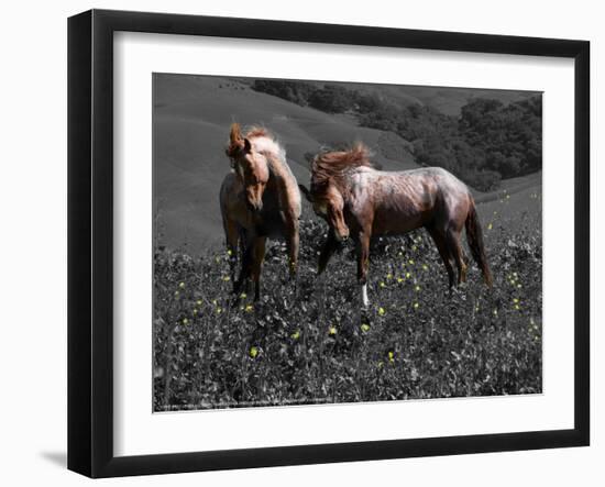 Wind Dance-Sally Linden-Framed Photo