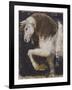 Wind Dancer II-Dupre-Framed Giclee Print