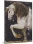 Wind Dancer II-Dupre-Mounted Giclee Print