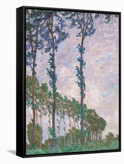 Wind Effect, Series of Poplars-Claude Monet-Framed Stretched Canvas