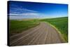 Wind Energy Generators, Palouse Country, Washington, USA-Terry Eggers-Stretched Canvas