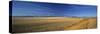 Wind Farm, Crowsnest Pass, Cowley, Alberta, Canada-Walter Bibikow-Stretched Canvas