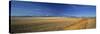 Wind Farm, Crowsnest Pass, Cowley, Alberta, Canada-Walter Bibikow-Stretched Canvas