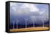 Wind Farm in Spain-Marco Cristofori-Framed Stretched Canvas