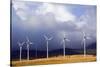Wind Farm in Spain-Marco Cristofori-Stretched Canvas