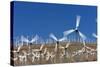 Wind Farm near Palm Springs.-Jon Hicks-Stretched Canvas