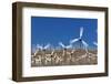 Wind Farm near Palm Springs.-Jon Hicks-Framed Photographic Print