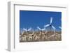 Wind Farm near Palm Springs.-Jon Hicks-Framed Photographic Print