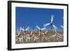 Wind Farm near Palm Springs.-Jon Hicks-Framed Photographic Print