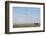 Wind Farm, Vega, Texas-Paul Souders-Framed Photographic Print