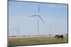 Wind Farm, Vega, Texas-Paul Souders-Mounted Photographic Print